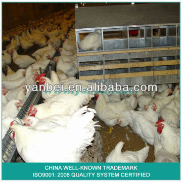 9KLK-36 Breeder Chicken Chain Feeding System