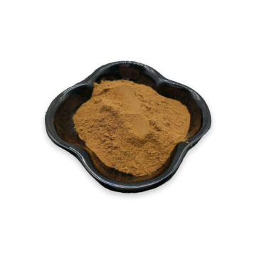 AGRIMONY EXTRACT PODE AGRIMONE