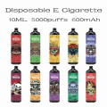 Bang descartável 5000 Puffs