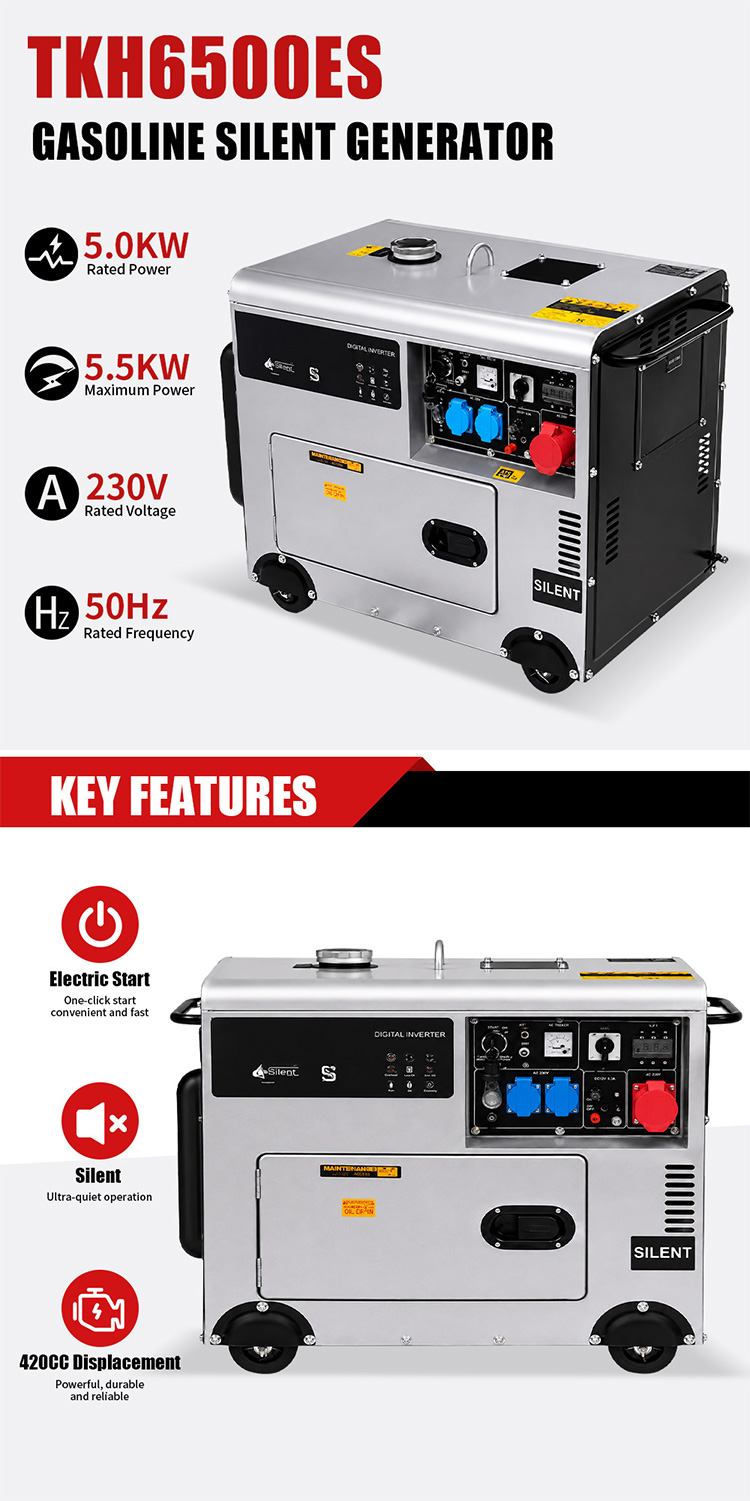 TKH6500ES Gasoline Generator(3)