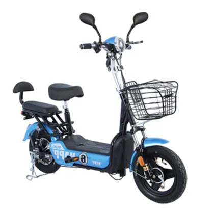 2-Seat 350W Electric Utility Vehicle: Scooter Bicycle for Uomo