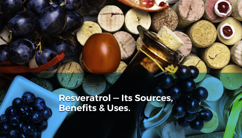 Resveratrol 98%