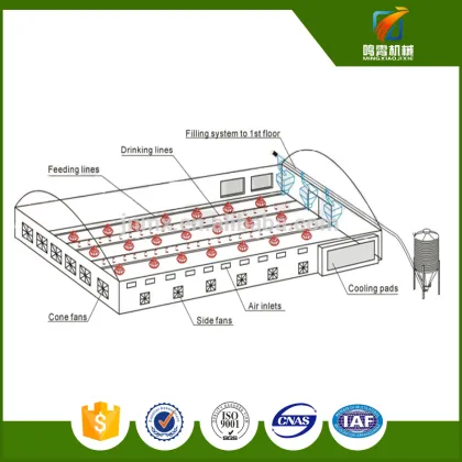 poultry shed construction farm 1000 chiken shed