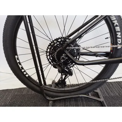 Central Motor Electric Bike with Dual Li-ion Batteries and Rosenberger Charger