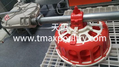 SHINE Poultry Feeder Systems