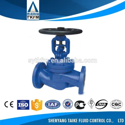 TKFM KSB DIN standard bellows seal globe valve