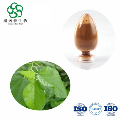 Hot Sell Pure Natural Mulberry Leaf Extract Powder