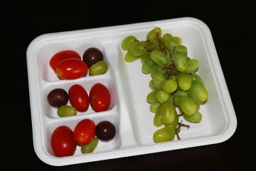 Newest design high quality disposable 3-compartment food container