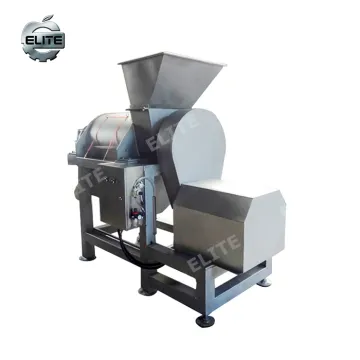 Apple NFC Production Line and Ginger Juice Making Machine