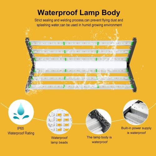 Waterproof scale from China, Waterproof scale Manufacturer