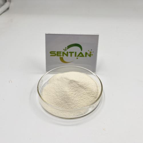 Beta-Galactosidase Acid Lactase Powder CAS 9031-11-2