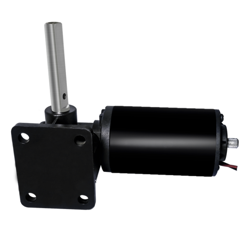 Maintex 24V Brushed Worm Gear Motor