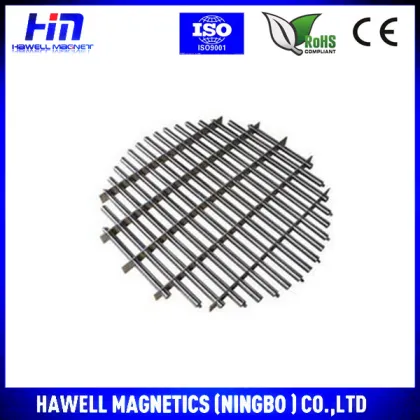 Hote sale neodymium magnetic round grid
