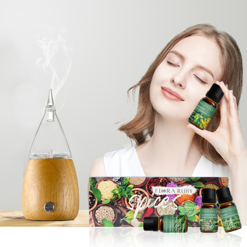 ชุดน้ำมัน Diffuser Private Labelapy Diffuser - น้ำมันหอมระเหย 6 ชิ้นสำหรับ diffusers