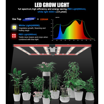 LED 650W Crescer luz de plantas hidropônicas interiores