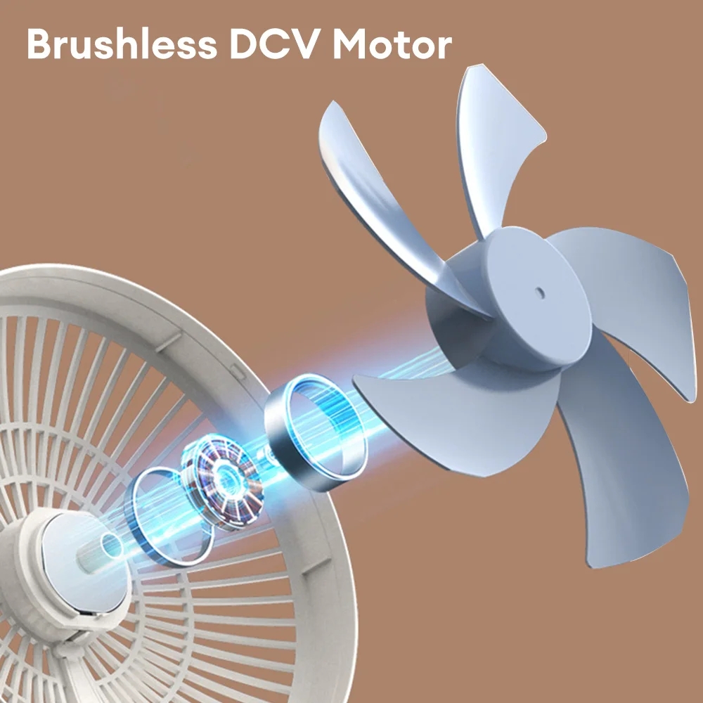 Brushless DCV Motor