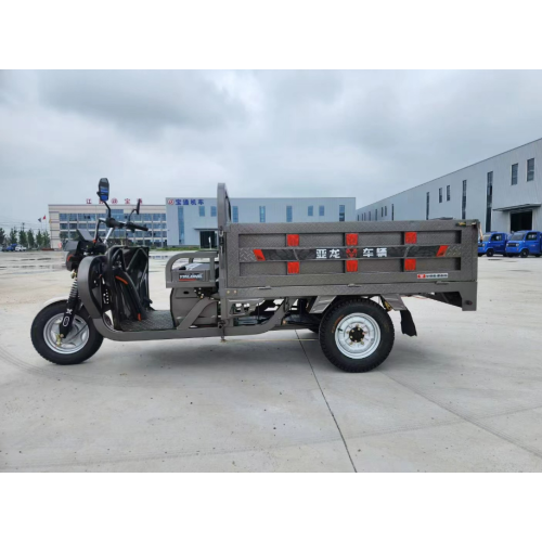 XUNZHOU FENGXIAN Electric trike For Passenger And Cargo