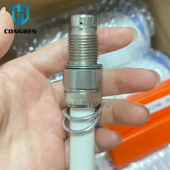 Wholesale Guascor Spark Plugs Platinum X52404500049 X5240450056 X5240450059 for MTU