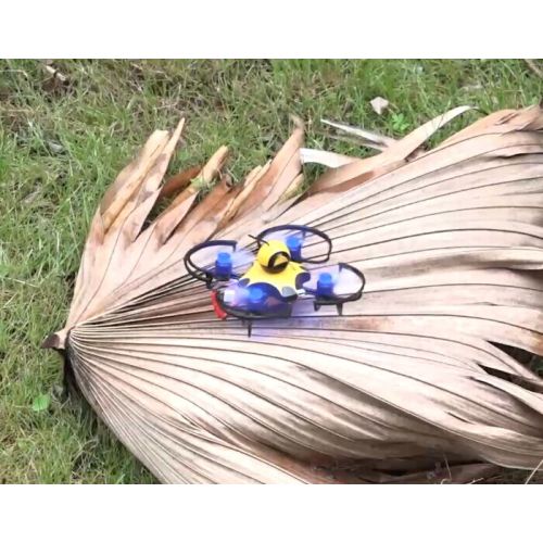 Indoor 90mm Racing Drone With FPV Camera