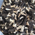 Nuevos productos inteley morchella Precio de black morel mushroom