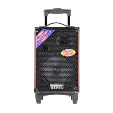 Temeisheng Q8S Portable Outdoor Wireless DJ Speaker with Karaoke and LED Lighting