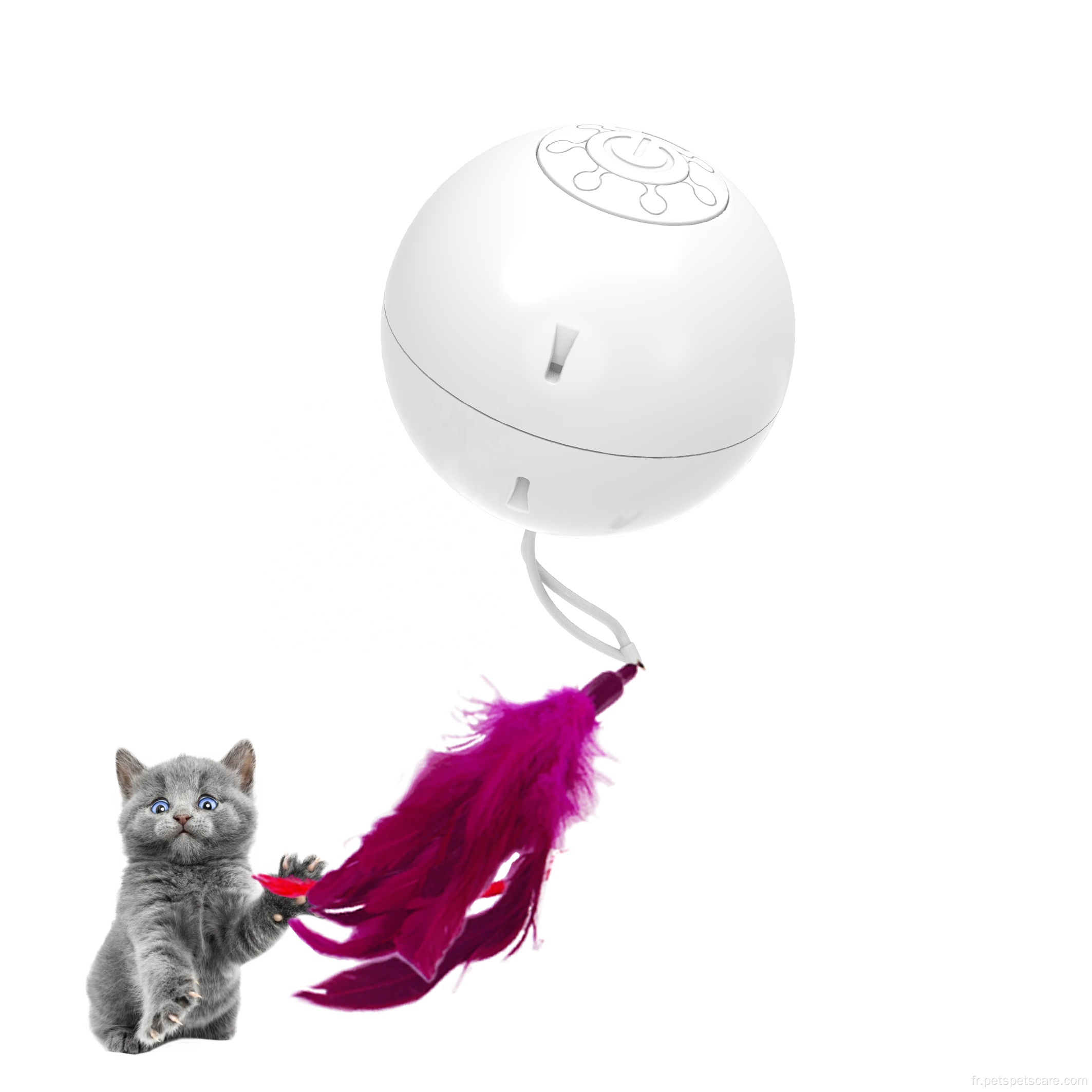 Jouet pour animaux de compagnie intelligents interactifs rechargeables