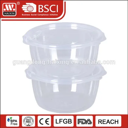 HAIXING wholesale tin lunch hard plastic meal box