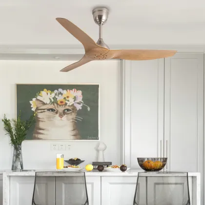 HUANGJIANG Modern Simple Ceiling Fan