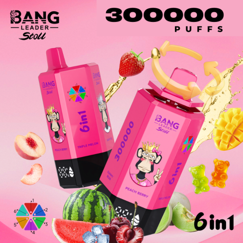 Disposables Bang Leader 300k Puff Rechargeable Vape Poland
