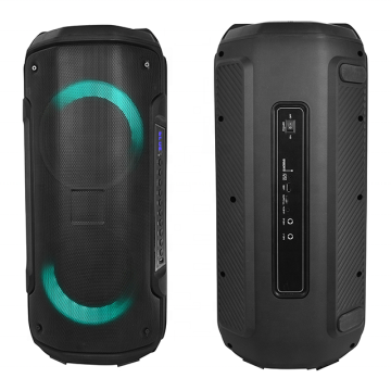 Double 6.5 Inch Portable Speaker Outdoor Karaoke With Microphone
