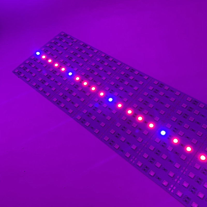 4 Red 1 Blue Led Growth Hard Strip