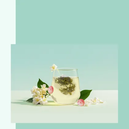 Jasmine Green Tea bags