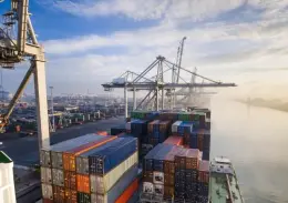 Customs Clearance 20 21