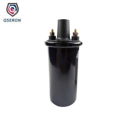 High Quality Ignition Coil 0221119027 for Bosch