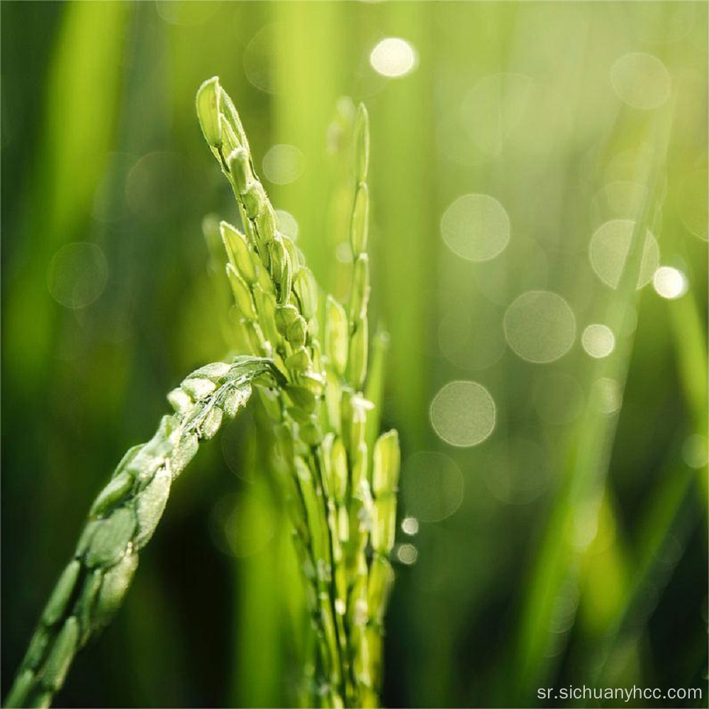 Пиринач / руж / ружа / пиће Адитив Витамин Б3-Храна