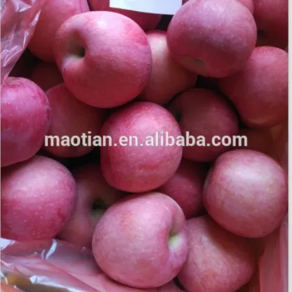 Fruit Apple rich of Vitamin C