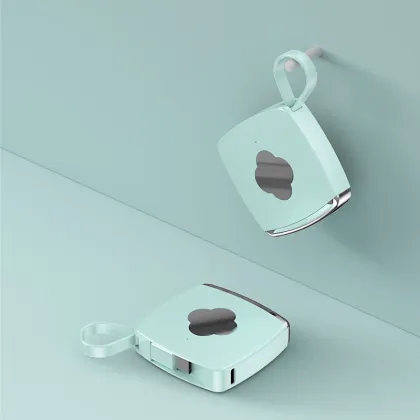 Super Fast Charging Portable Power Bank with Mini Power Bank