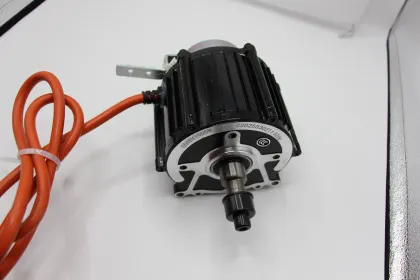 Monsoon-Proof IP54 Waterproof BLDC Motor