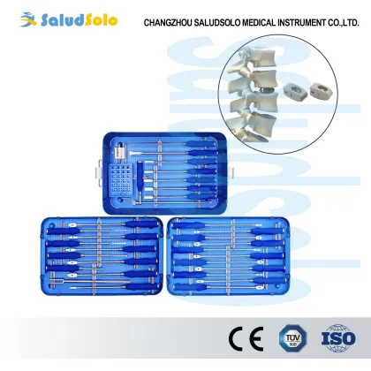 Spinal PLIF Peek Cages