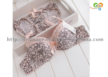 Sexy Push up Bra Set, Vintage Elegant Lace Bra Set