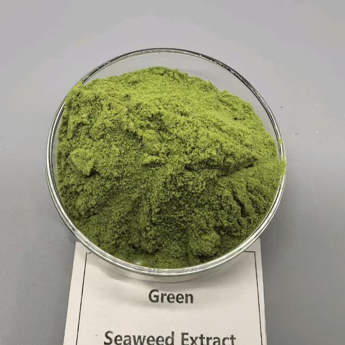 Green seaweed extract - Chlorophyta extract plant growth