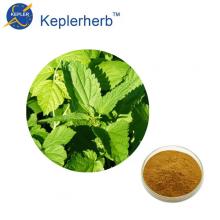 Nettle extract Plant extract