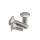 Stainless Steel carriage bolt screw