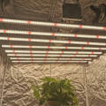 Luces de cultivo LED de la industrial profesional