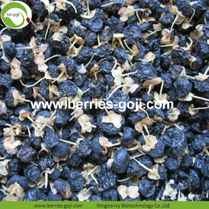 Factory Supply Dried Wild Black Goji