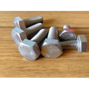 SS304 or 316 hexagonal head bolts