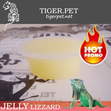 high quality reptiles jelly factory reptiles jelly Lowest price