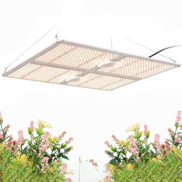 2975umol/s Full Spectrum 600w Dimmable LED Grow Light