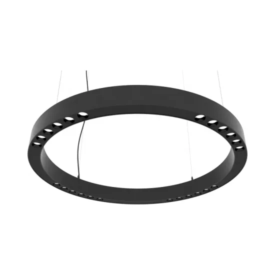 LED Ceilling Aluminum indoor Round Ring shape LED Pendant Light lens circle light circular shape