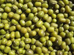 Mung Green Beans Non-GMO
